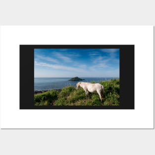 Mewstone Island and Dartmoor Pony Posters and Art